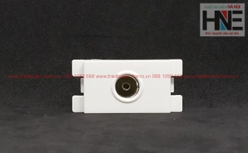 Hạt ổ cắm Tivi